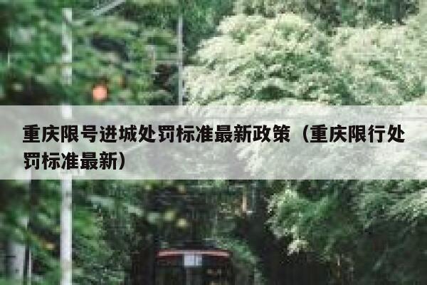重庆限号进城处罚标准最新政策（重庆限行处罚标准最新） 第1张