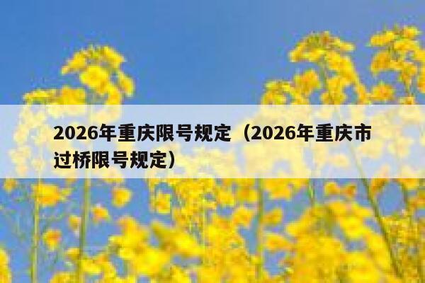 2026年重庆限号规定（2026年重庆市过桥限号规定） 第1张