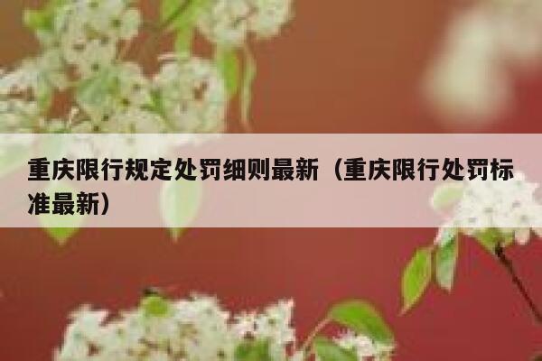 重庆限行规定处罚细则最新(重庆限行处罚标准最新) 第1张 重庆限行规定处罚细则最新(重庆限行处罚标准最新) 第1张