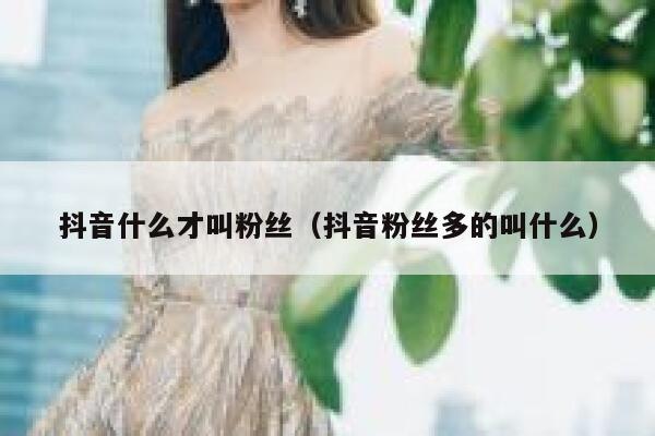 抖音什么才叫粉丝（抖音粉丝多的叫什么） 第1张