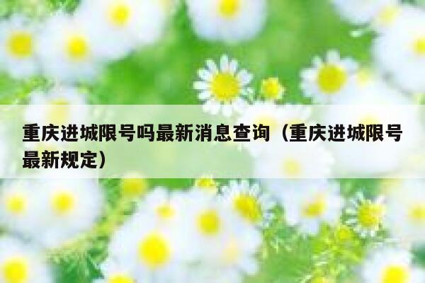 重庆进城限号吗最新消息查询（重庆进城限号最新规定） 第1张