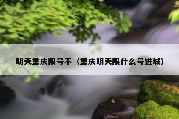 明天重庆限号不(重庆明天限什么号进城) 第1张 明天重庆限号不(重庆明天限什么号进城) 第1张