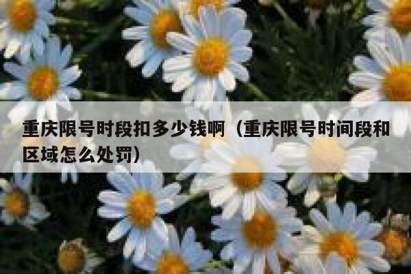 重庆限号时段扣多少钱啊（重庆限号时间段和区域怎么处罚） 第1张