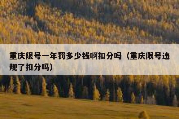 重庆限号一年罚多少钱啊扣分吗（重庆限号违规了扣分吗） 第1张