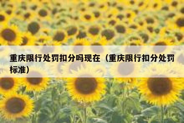 重庆限行处罚扣分吗现在（重庆限行扣分处罚标准） 第1张