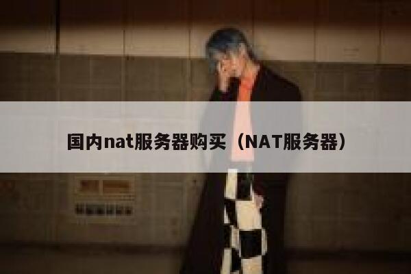 国内nat服务器购买（NAT服务器） 第1张