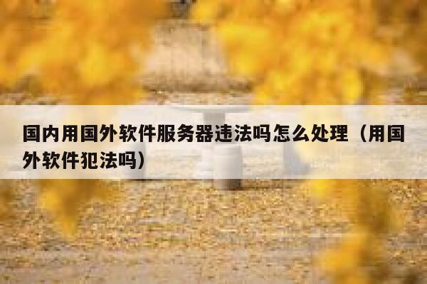 国内用国外软件服务器违法吗怎么处理(用国外软件犯法吗) 第1张 国内用国外软件服务器违法吗怎么处理(用国外软件犯法吗) 第1张