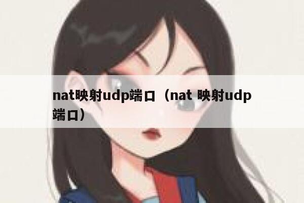 nat映射udp端口（nat 映射udp端口） 第1张