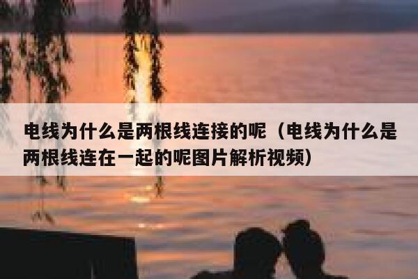 电线为什么是两根线连接的呢（电线为什么是两根线连在一起的呢图片解析视频） 第1张