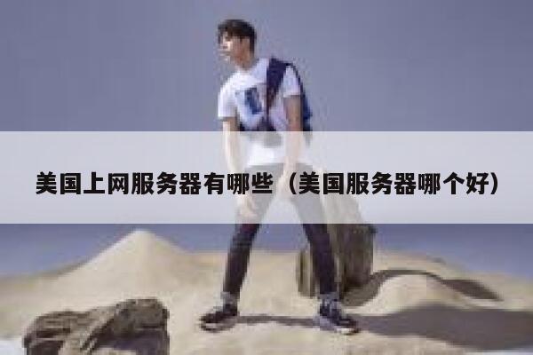 美国上网服务器有哪些（美国服务器哪个好） 第1张