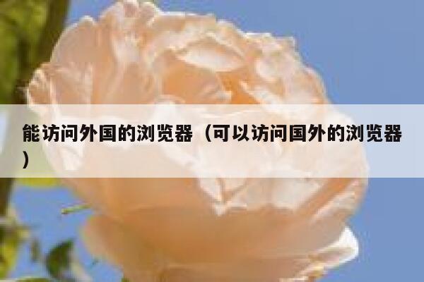 能访问外国的浏览器（可以访问国外的浏览器） 第1张
