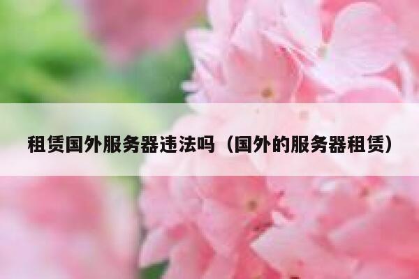 租赁国外服务器违法吗(国外的服务器租赁) 第1张 租赁国外服务器违法吗(国外的服务器租赁) 第1张