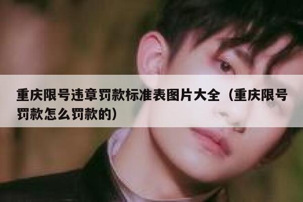 重庆限号违章罚款标准表图片大全(重庆限号罚款怎么罚款的) 第1张 重庆限号违章罚款标准表图片大全(重庆限号罚款怎么罚款的) 第1张