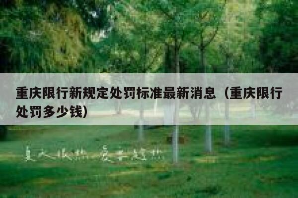 重庆限行新规定处罚标准最新消息（重庆限行处罚多少钱） 第1张