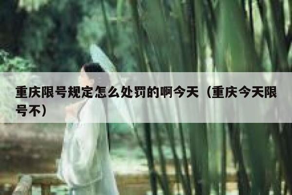 重庆限号规定怎么处罚的啊今天（重庆今天限号不） 第1张