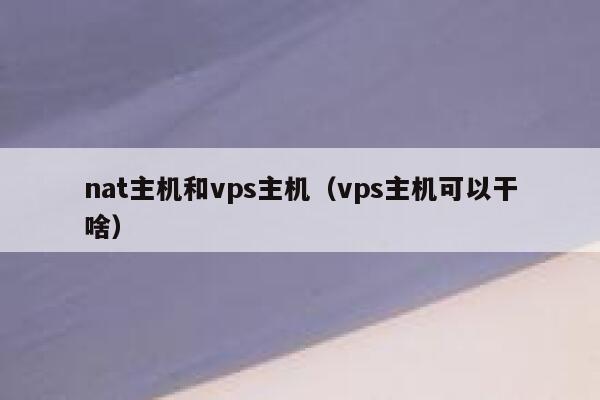 nat主机和vps主机（vps主机可以干啥） 第1张