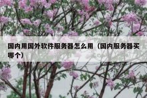 国内用国外软件服务器怎么用(国内服务器买哪个) 第1张 国内用国外软件服务器怎么用(国内服务器买哪个) 第1张