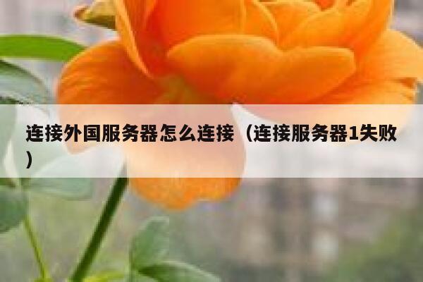 连接外国服务器怎么连接（连接服务器1失败） 第1张