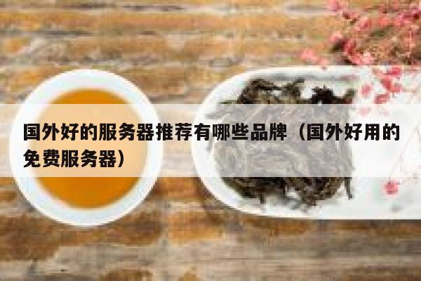 国外好的服务器推荐有哪些品牌(国外好用的免费服务器) 第1张 国外好的服务器推荐有哪些品牌(国外好用的免费服务器) 第1张