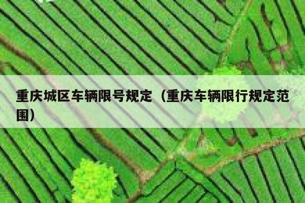 重庆城区车辆限号规定(重庆车辆限行规定范围) 第1张 重庆城区车辆限号规定(重庆车辆限行规定范围) 第1张