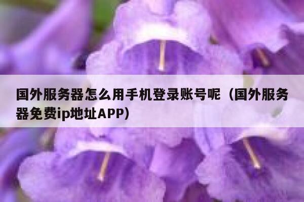 国外服务器怎么用手机登录账号呢（国外服务器免费ip地址APP） 第1张
