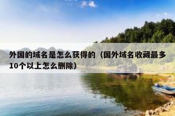外国的域名是怎么获得的（国外域名收藏最多10个以上怎么删除） 第1张