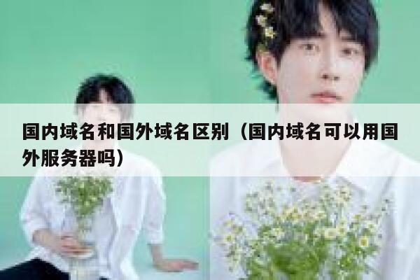 国内域名和国外域名区别(国内域名可以用国外服务器吗) 第1张 国内域名和国外域名区别(国内域名可以用国外服务器吗) 第1张