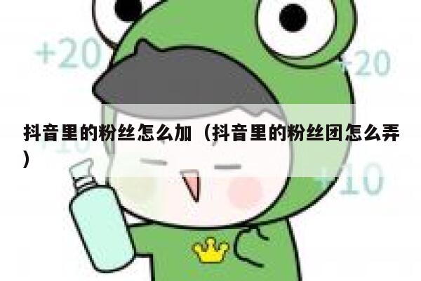 抖音里的粉丝怎么加（抖音里的粉丝团怎么弄） 第1张