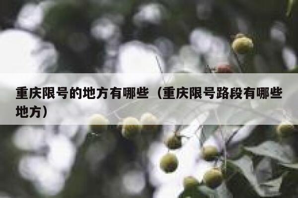 重庆限号的地方有哪些(重庆限号路段有哪些地方) 第1张 重庆限号的地方有哪些(重庆限号路段有哪些地方) 第1张