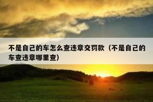 不是自己的车怎么查违章交罚款（不是自己的车查违章哪里查） 第1张