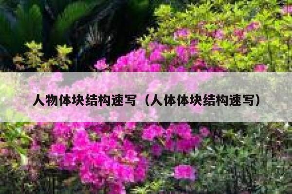 人物体块结构速写（人体体块结构速写） 第1张