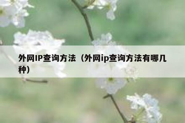 外网IP查询方法（外网ip查询方法有哪几种） 第1张