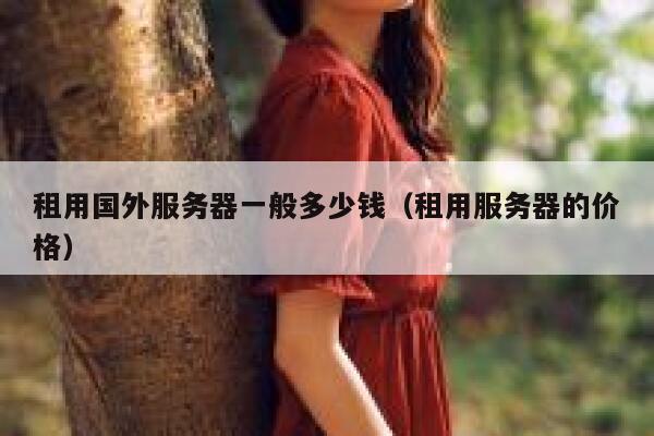 租用国外服务器一般多少钱（租用服务器的价格） 第1张