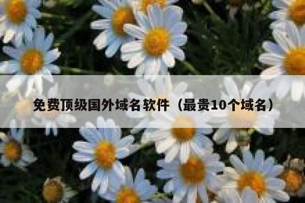 免费顶级国外域名软件（最贵10个域名） 第1张