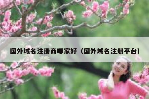 国外域名注册商哪家好（国外域名注册平台） 第1张