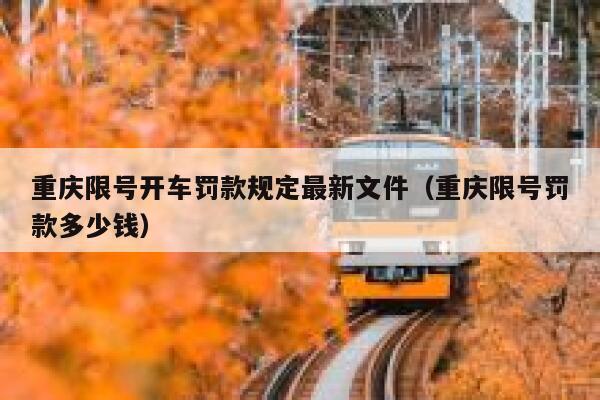 重庆限号开车罚款规定最新文件（重庆限号罚款多少钱） 第1张