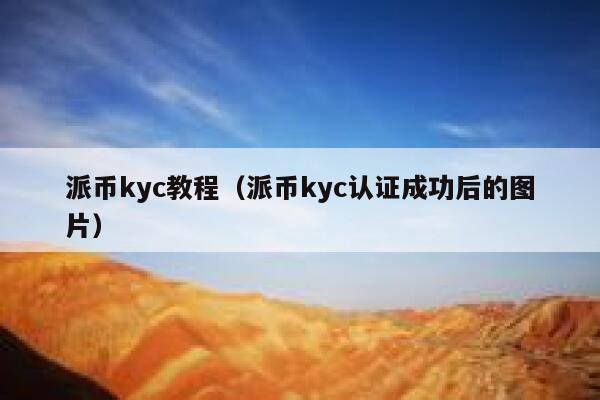 派币kyc教程（派币kyc认证成功后的图片） 第1张