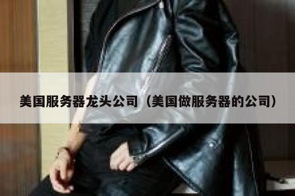 美国服务器龙头公司（美国做服务器的公司） 第1张