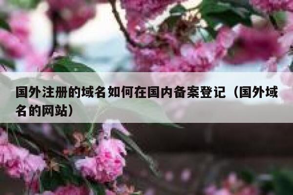 国外注册的域名如何在国内备案登记（国外域名的网站） 第1张