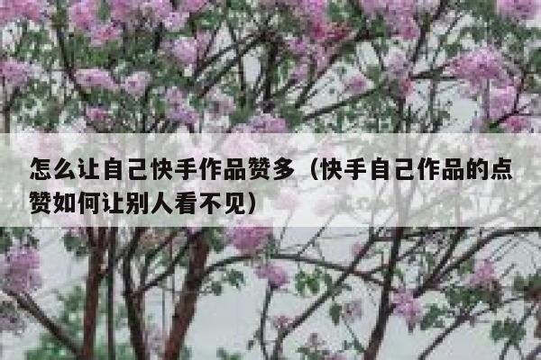 怎么让自己快手作品赞多（快手自己作品的点赞如何让别人看不见） 第1张