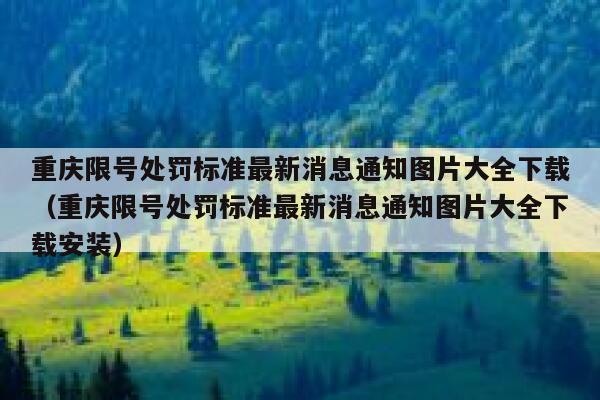 重庆限号处罚标准最新消息通知图片大全下载（重庆限号处罚标准最新消息通知图片大全下载安装） 第1张