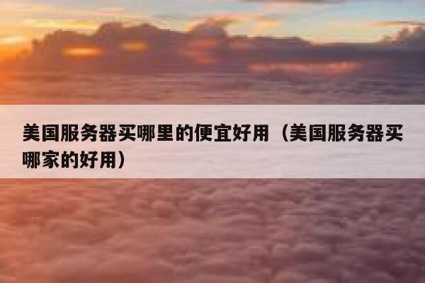 美国服务器买哪里的便宜好用（美国服务器买哪家的好用） 第1张