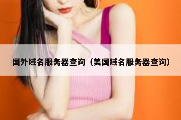 国外域名服务器查询（美国域名服务器查询） 第1张