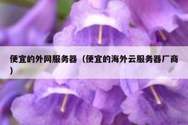 便宜的外网服务器（便宜的海外云服务器厂商） 第1张
