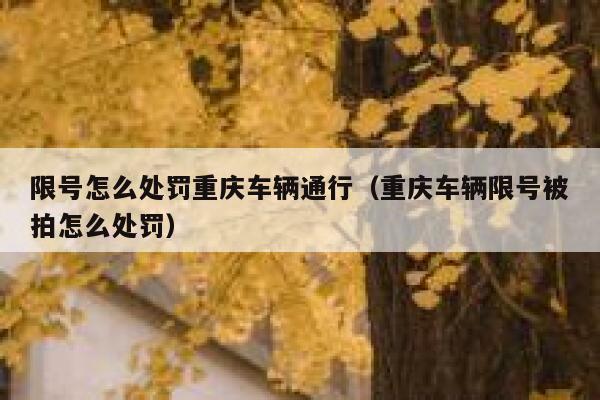 限号怎么处罚重庆车辆通行（重庆车辆限号被拍怎么处罚） 第1张