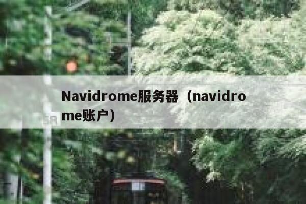 Navidrome服务器（navidrome账户） 第1张