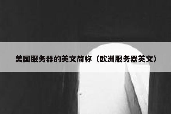 美国服务器的英文简称（欧洲服务器英文） 第1张