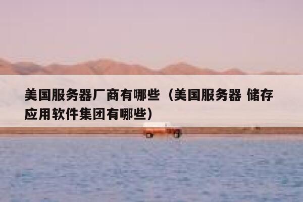 美国服务器厂商有哪些（美国服务器 储存 应用软件集团有哪些） 第1张