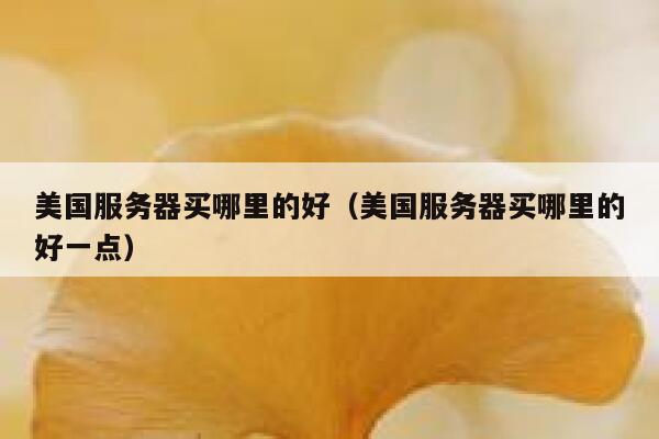 美国服务器买哪里的好(美国服务器买哪里的好一点) 第1张 美国服务器买哪里的好(美国服务器买哪里的好一点) 第1张