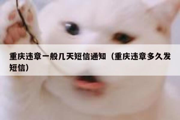 重庆违章一般几天短信通知(重庆违章多久发短信) 第1张 重庆违章一般几天短信通知(重庆违章多久发短信) 第1张